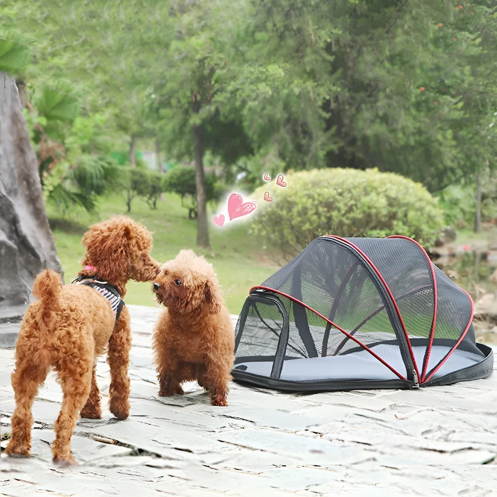 Folding cloth tent for cats with mesh panels in black or blue options