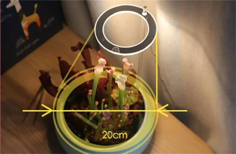 USB-powered LED plant grow light with full spectrum bulb and clear acrylic positioning stick.