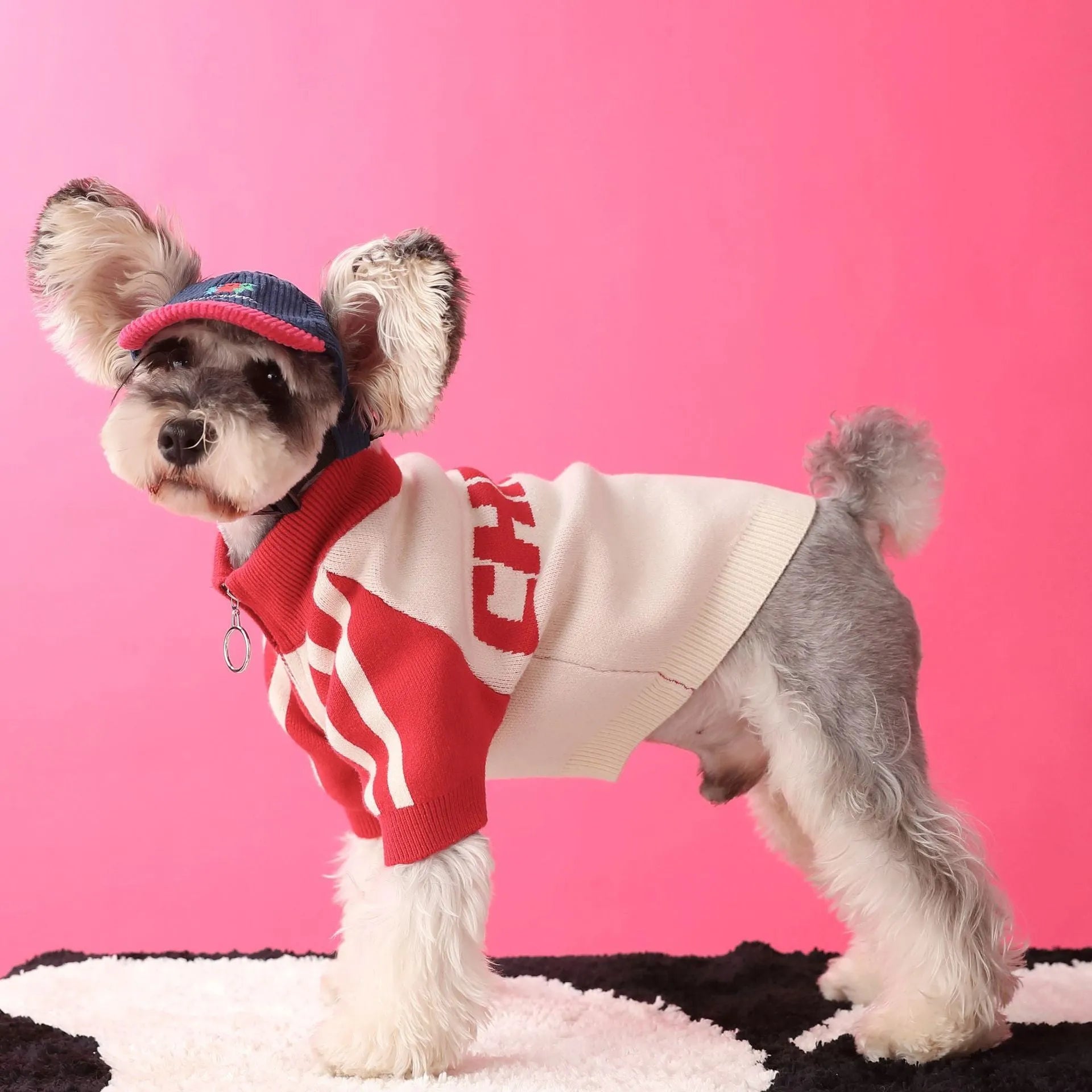 Red wool dog sports sweater cardigan shown on medium-sized dog with casual fit