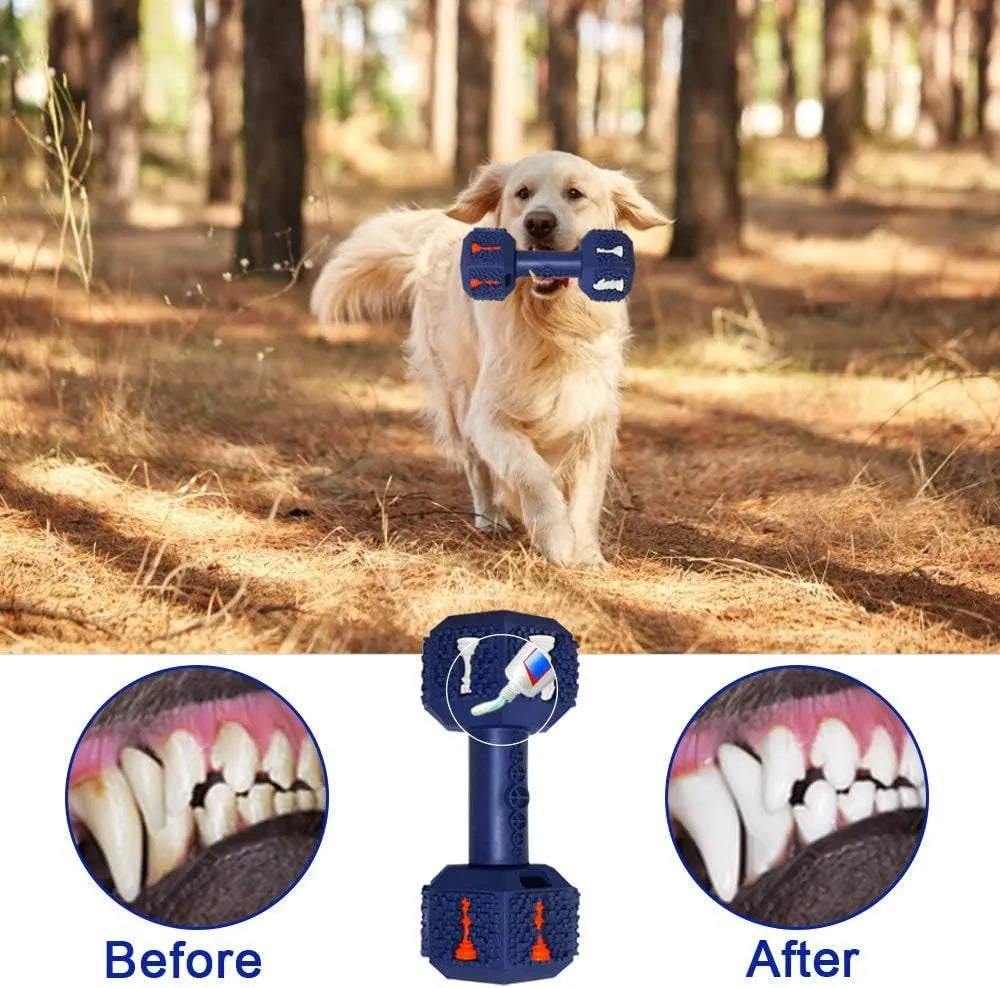 Heavy-duty dog chew toy dumbbell shape with hollow ends for treats in black or blue colour