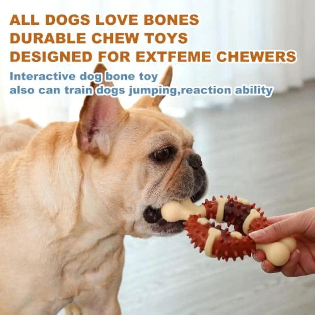 Natural rubber bone-shaped dog teeth grinding toy for dental health and anxiety relief in two sizes