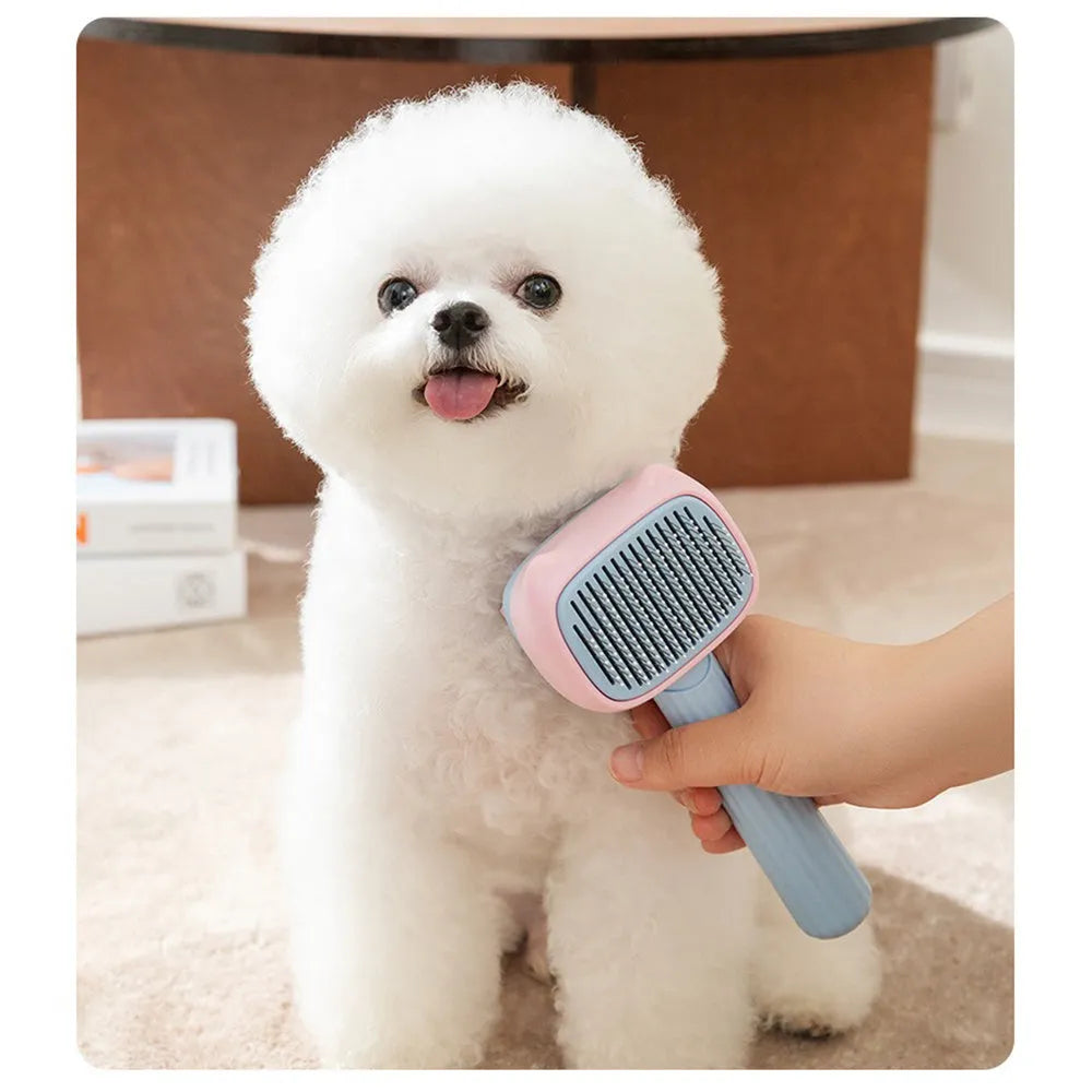 Blue pet grooming brush with deshedding teeth and dematting comb for dogs and cats