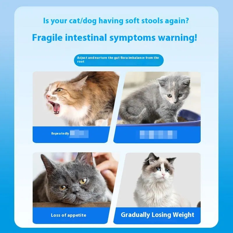 Bottle of 180 pet probiotic tablets for cat and dog digestive health support