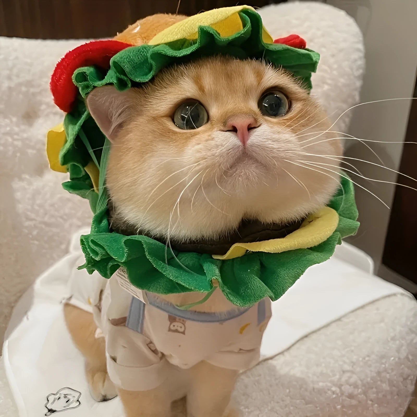 Soft fabric burger headdress collar with adjustable strap for a cat