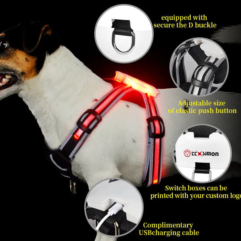 USB charging luminous dog leash with seven-colour LED light strip in nylon construction