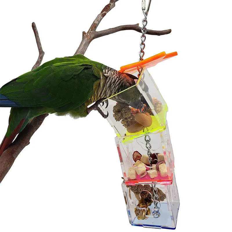 Clear acrylic parrot foraging toy measuring 32 cm tall for holding bird food.