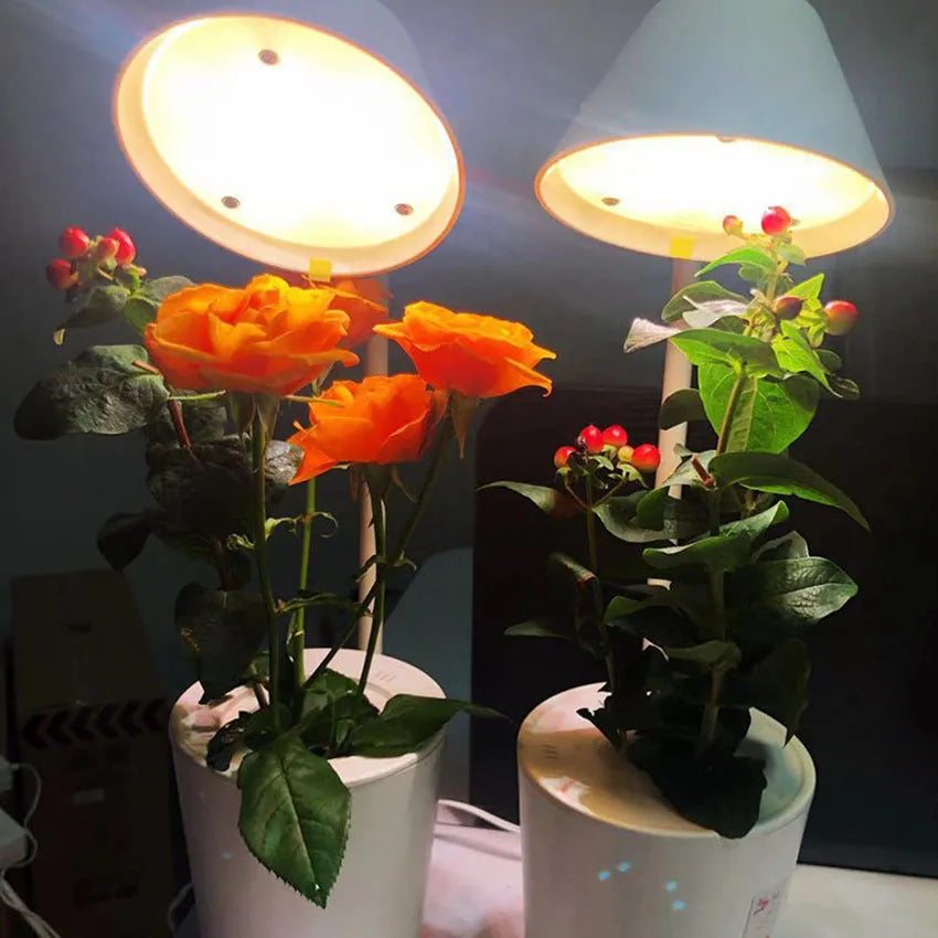 White plastic desktop hydroponic container for soilless plant growth