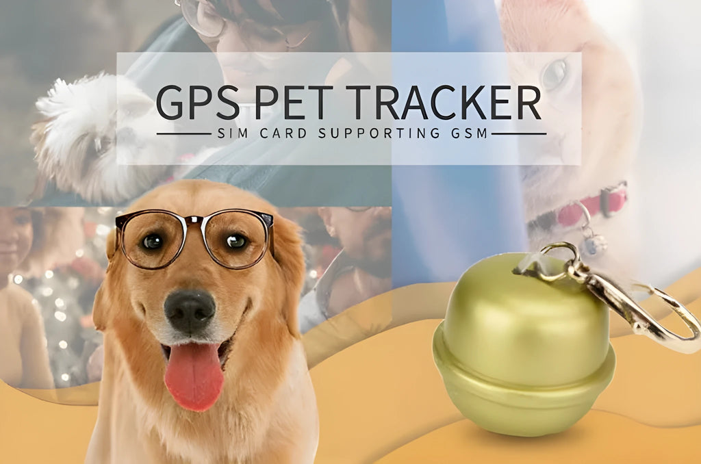 GPS tracking device for pet collars in black, brown, green, and pink colours.