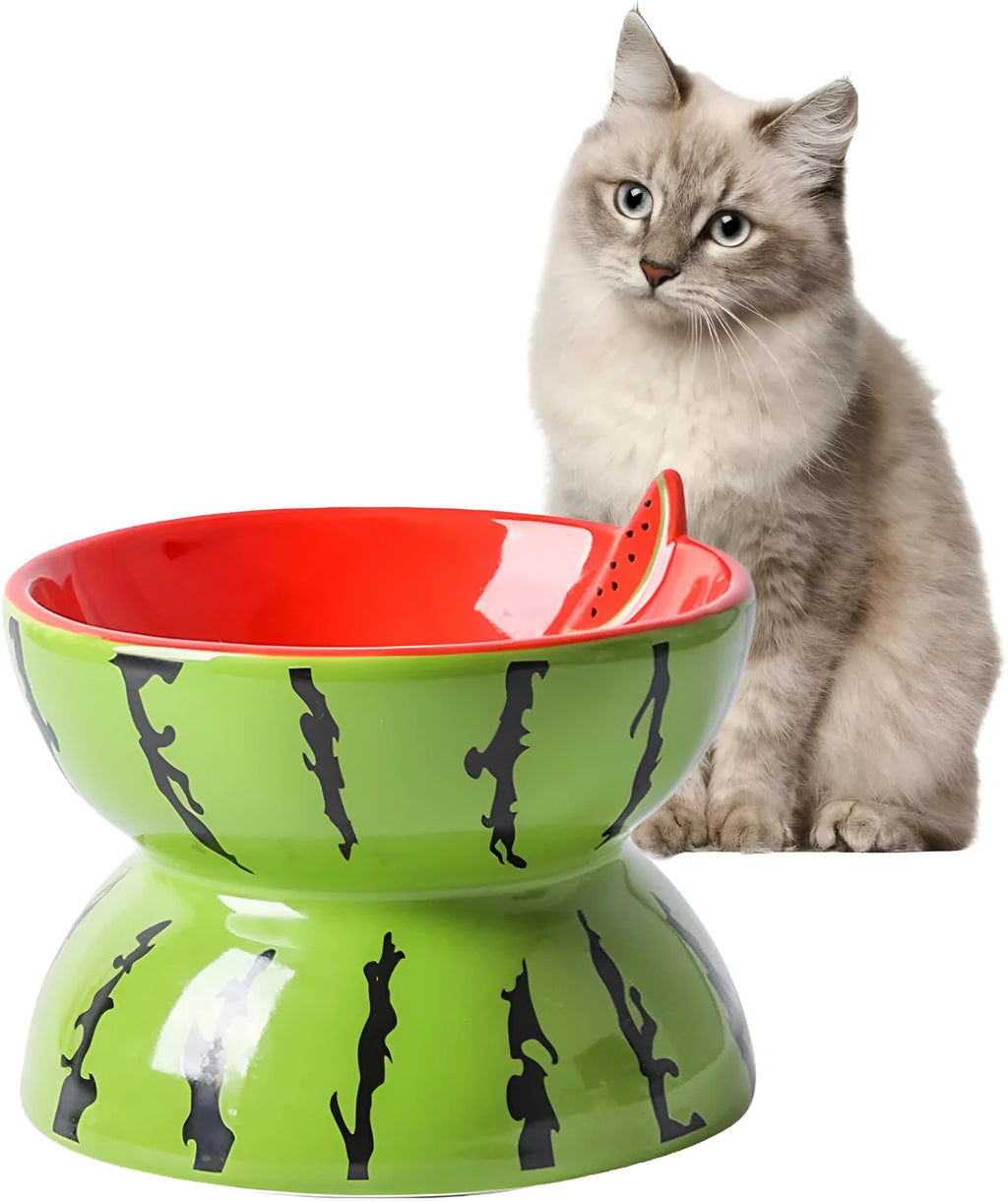 Ceramic raised cat bowl with elevated platform and tilted wide dish design