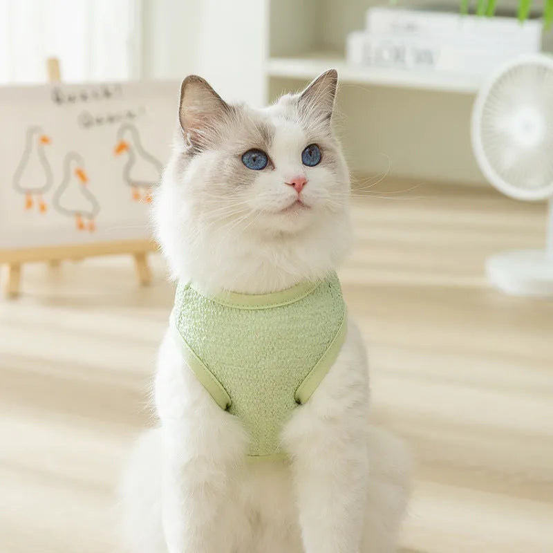 Green knitted cat clothing with a bear patch, showing hollowed-out breathable fabric.