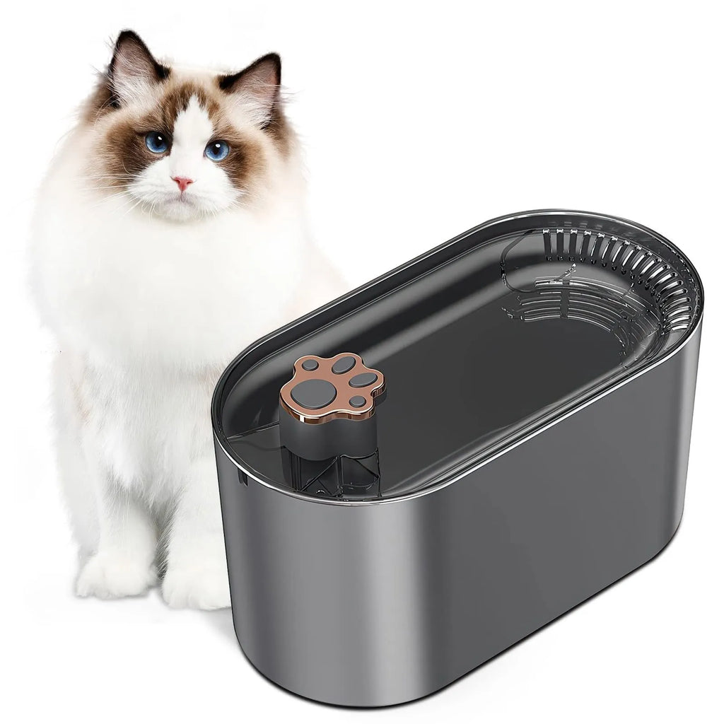 Blue automatic pet water fountain with filter on a floor next to a cat