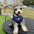 Blue slim-fit pet hoodie with reflective lettering on a dog, showing the hooded design.
