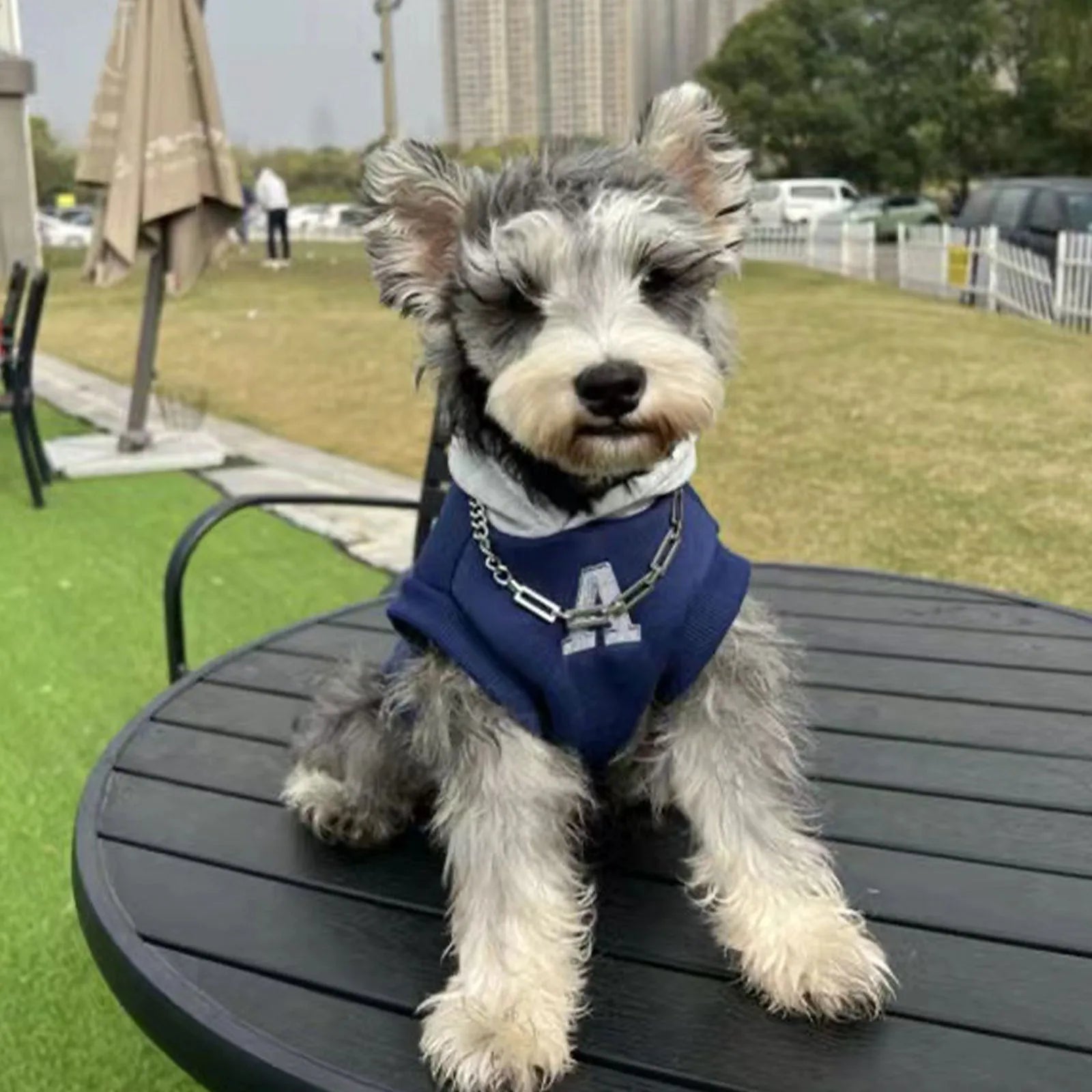 Blue slim-fit pet hoodie with reflective lettering on a dog, showing the hooded design.