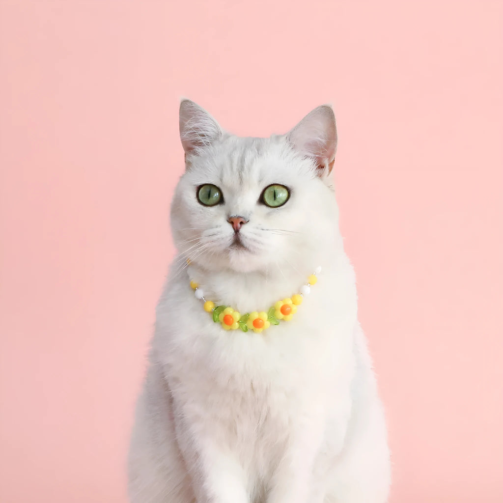 Colourful plastic pearl pet necklace with small flower, rainbow or peach bead patterns and adjustable sizing