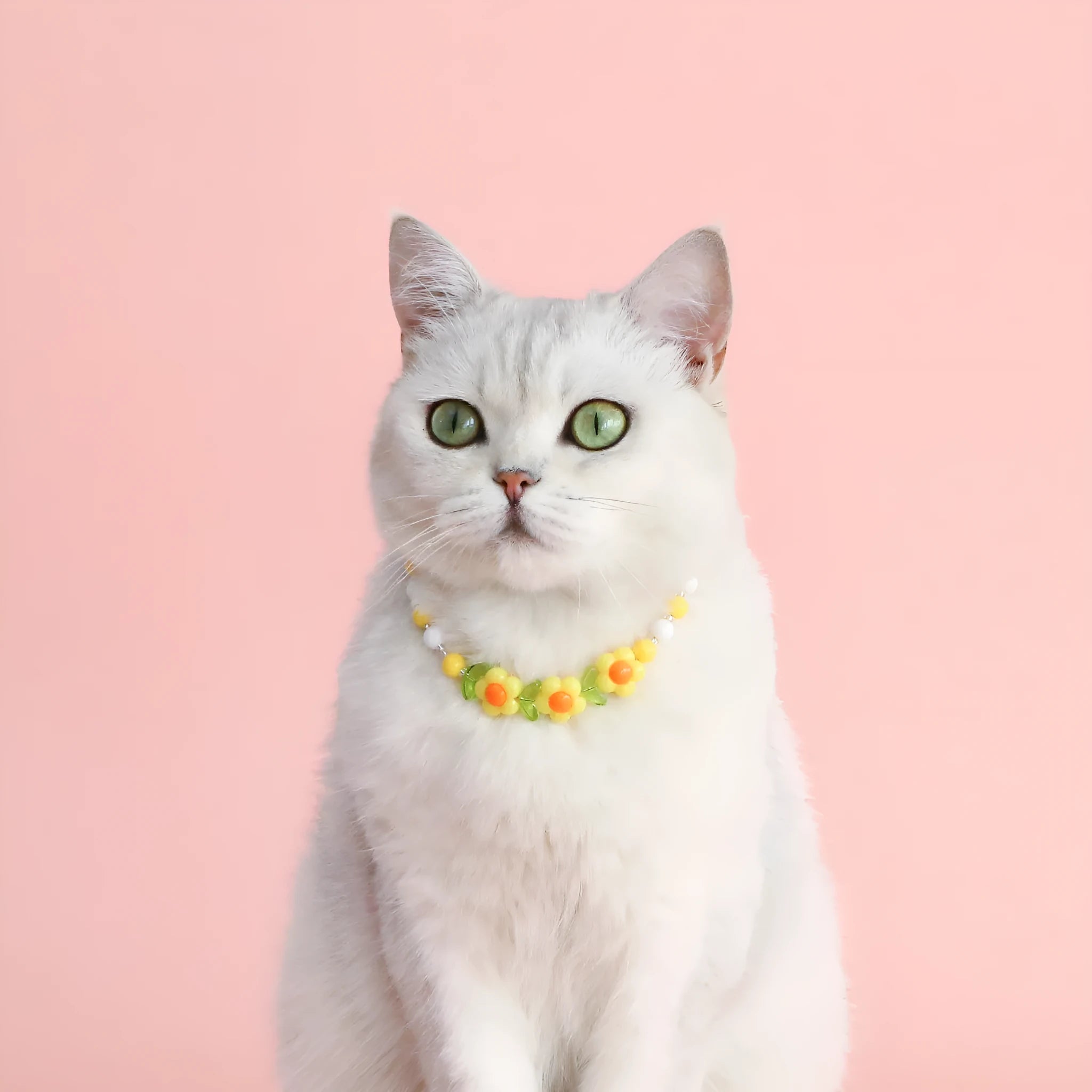 Colourful plastic pearl pet necklace with small flower, rainbow or peach bead patterns and adjustable sizing