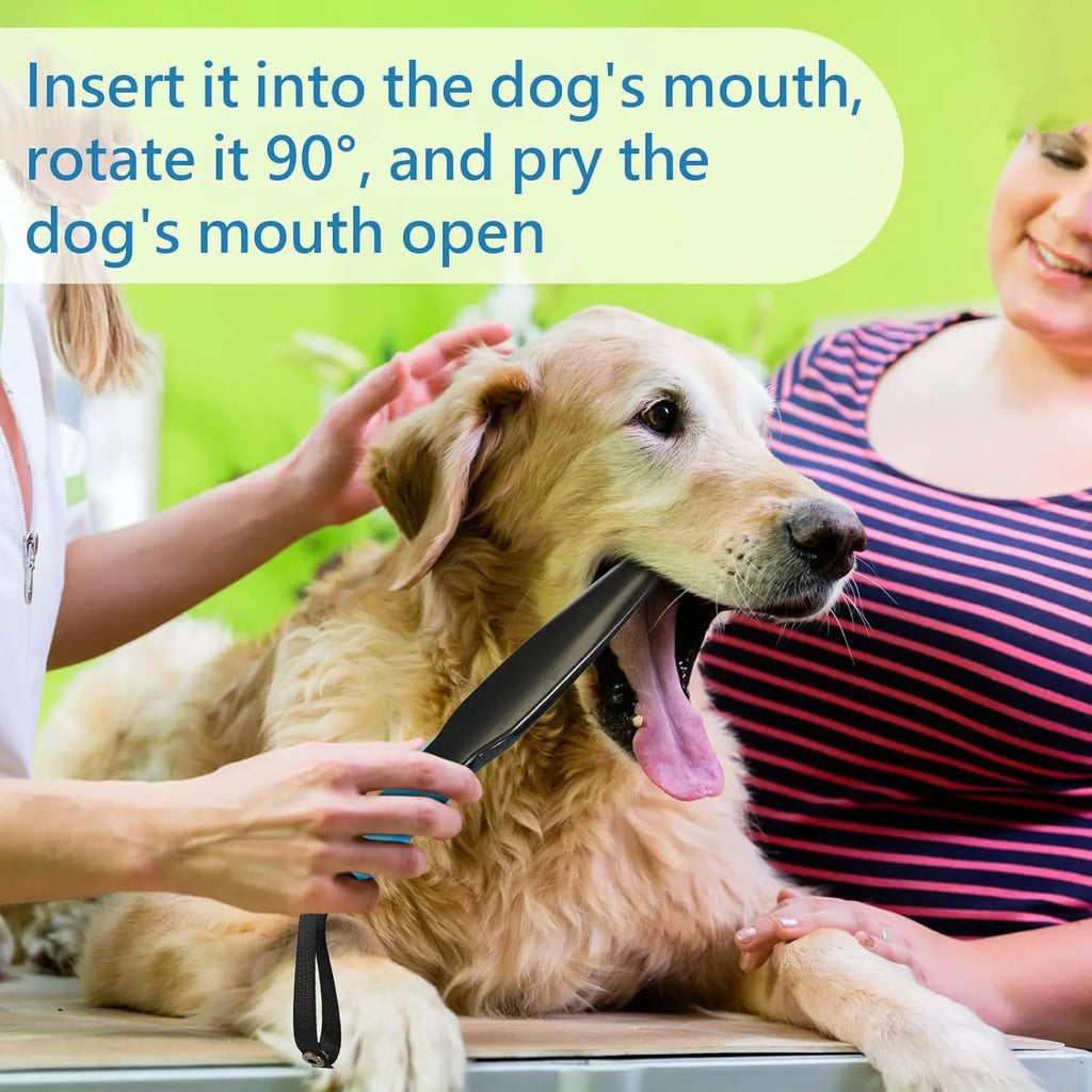 Blue handled nylon dog training break stick for small and medium breed bite control.