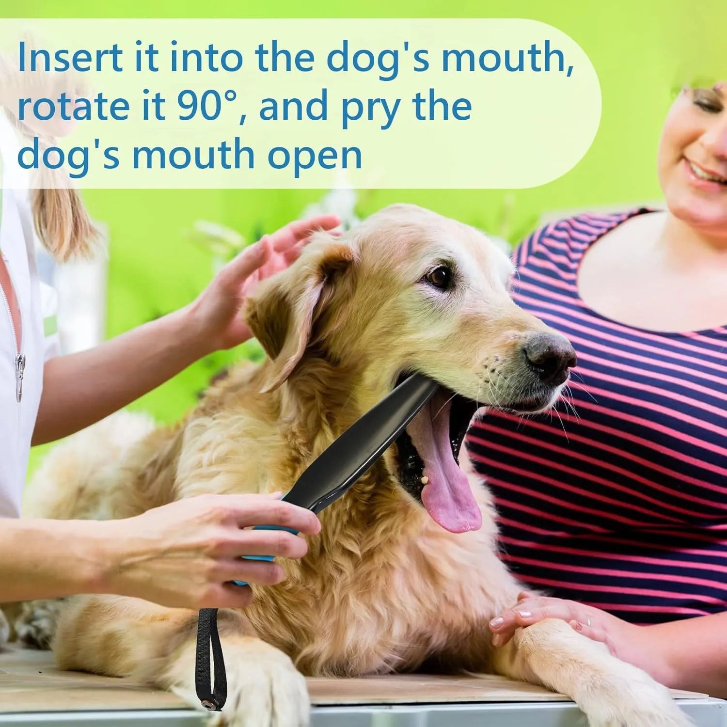 Blue handled nylon dog training break stick for small and medium breed bite control.