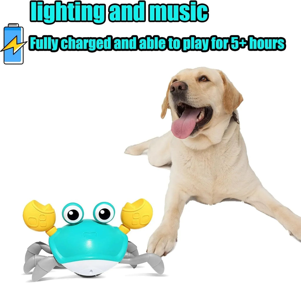 Blue and red electronic crawling crab dog toy with lights, shown on a floor.