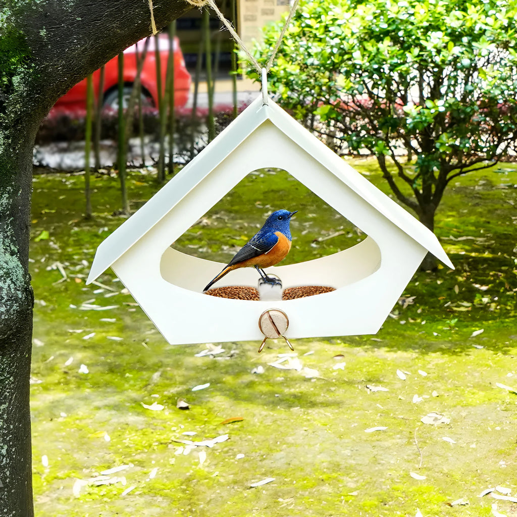 European-style simple iron bird feeder with anti-rain roof for garden hanging.