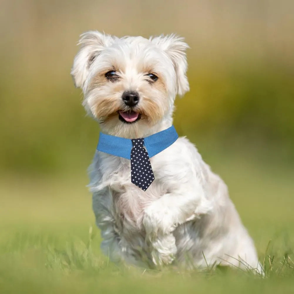 Denim dog collar with blue star pattern and red necktie on adjustable fastener tape.