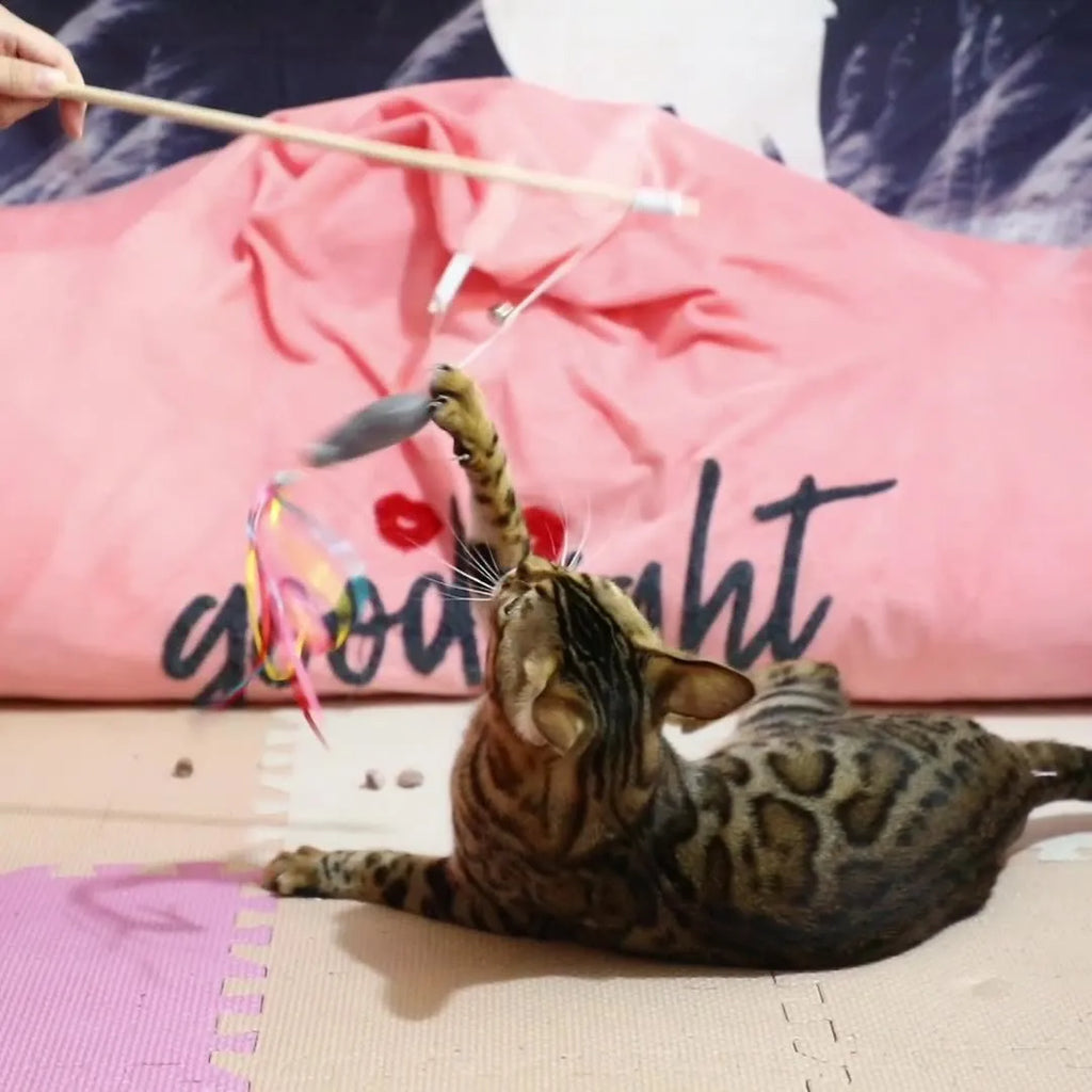 Cat wand toy with wooden handle, elastic rope, colourful ribbons, catnip fish, and bell attachment