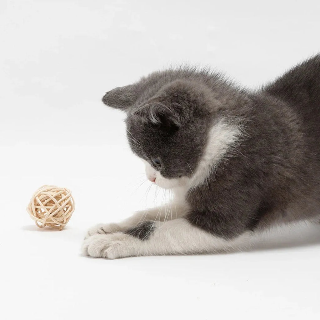 Cat toy set showing rattan ball and faux feather ball with bell, measuring 4x9cm and 3.5cm diameter respectively