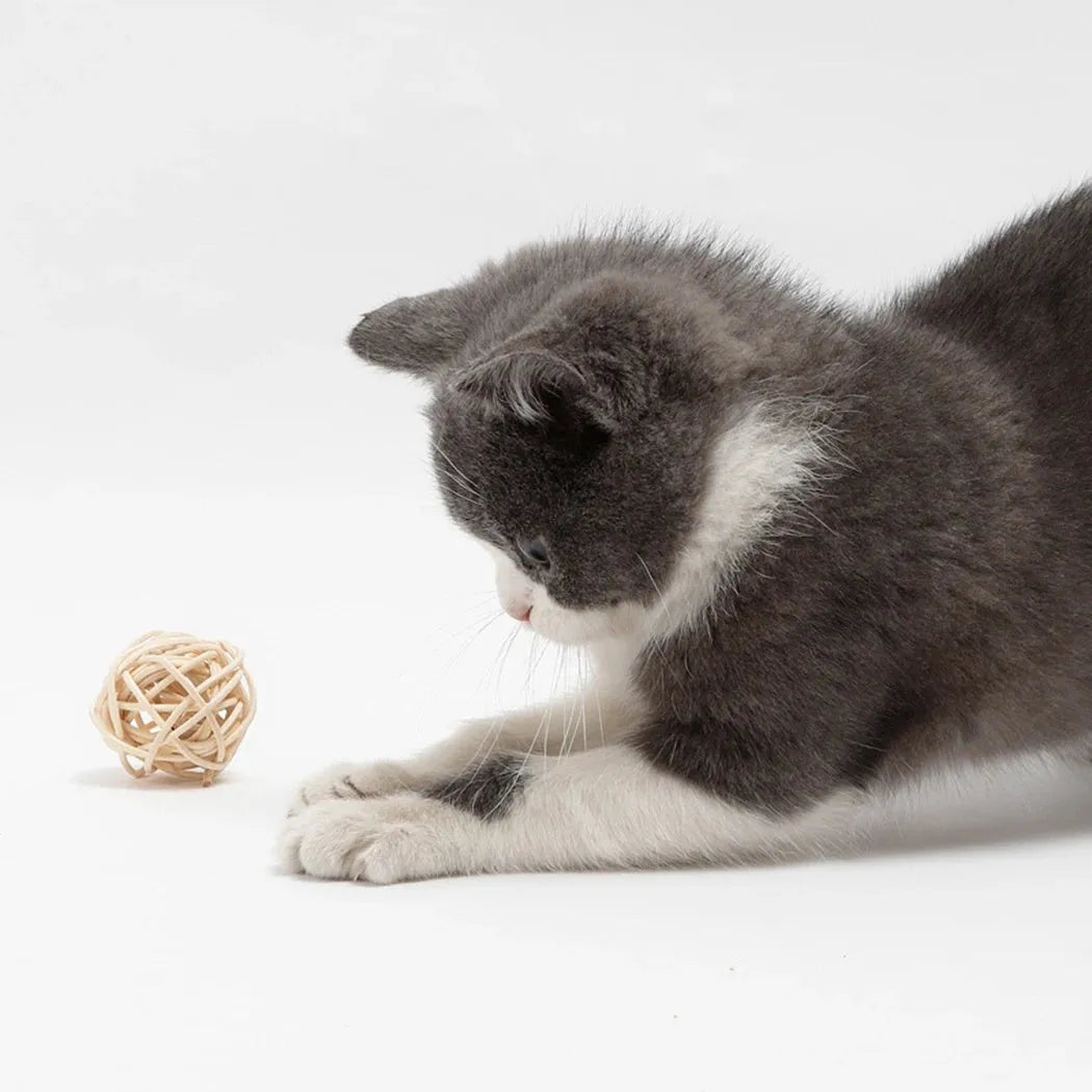 Cat toy set showing rattan ball and faux feather ball with bell, measuring 4x9cm and 3.5cm diameter respectively