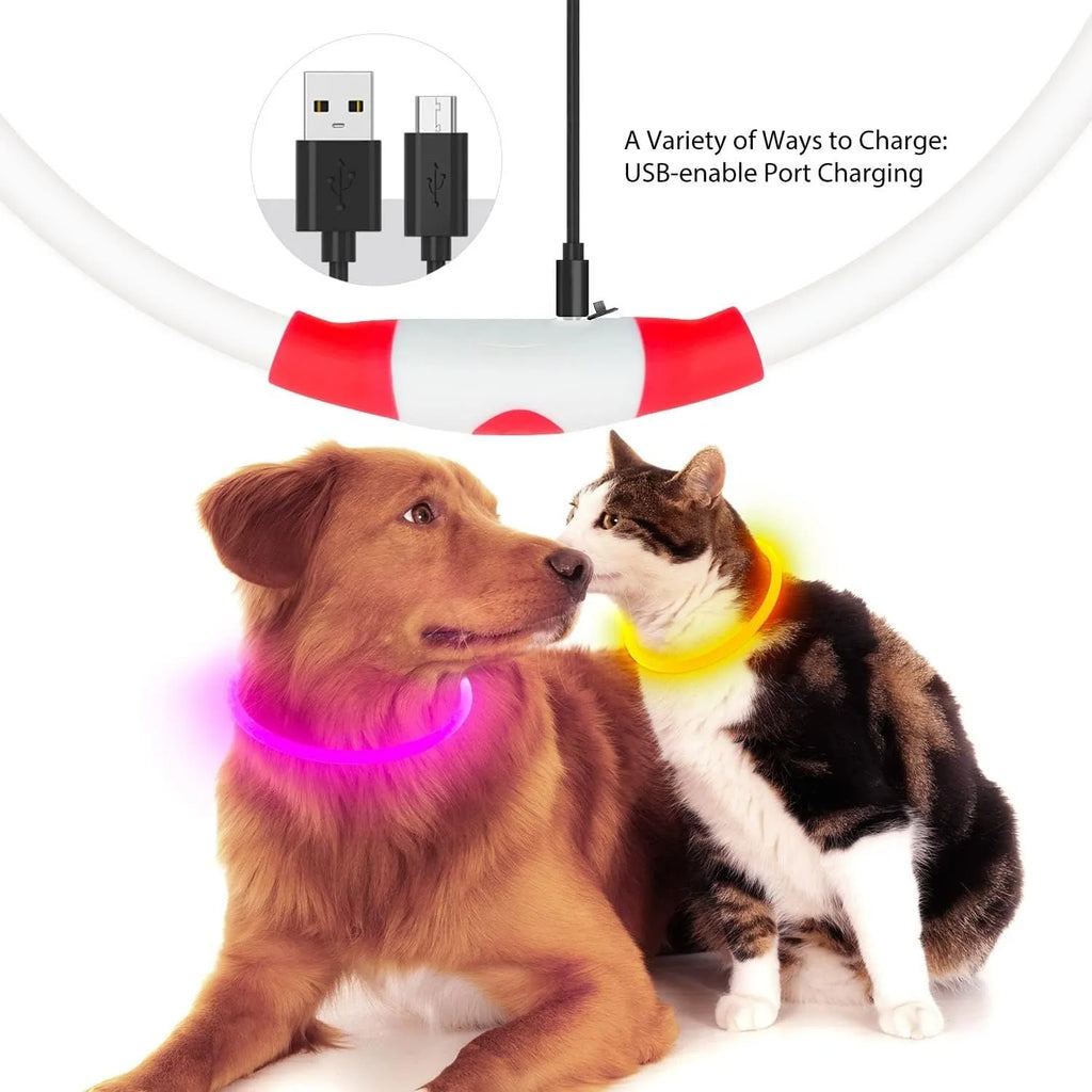 USB rechargeable LED dog collar with glowing light in blue colour, adjustable 70cm length