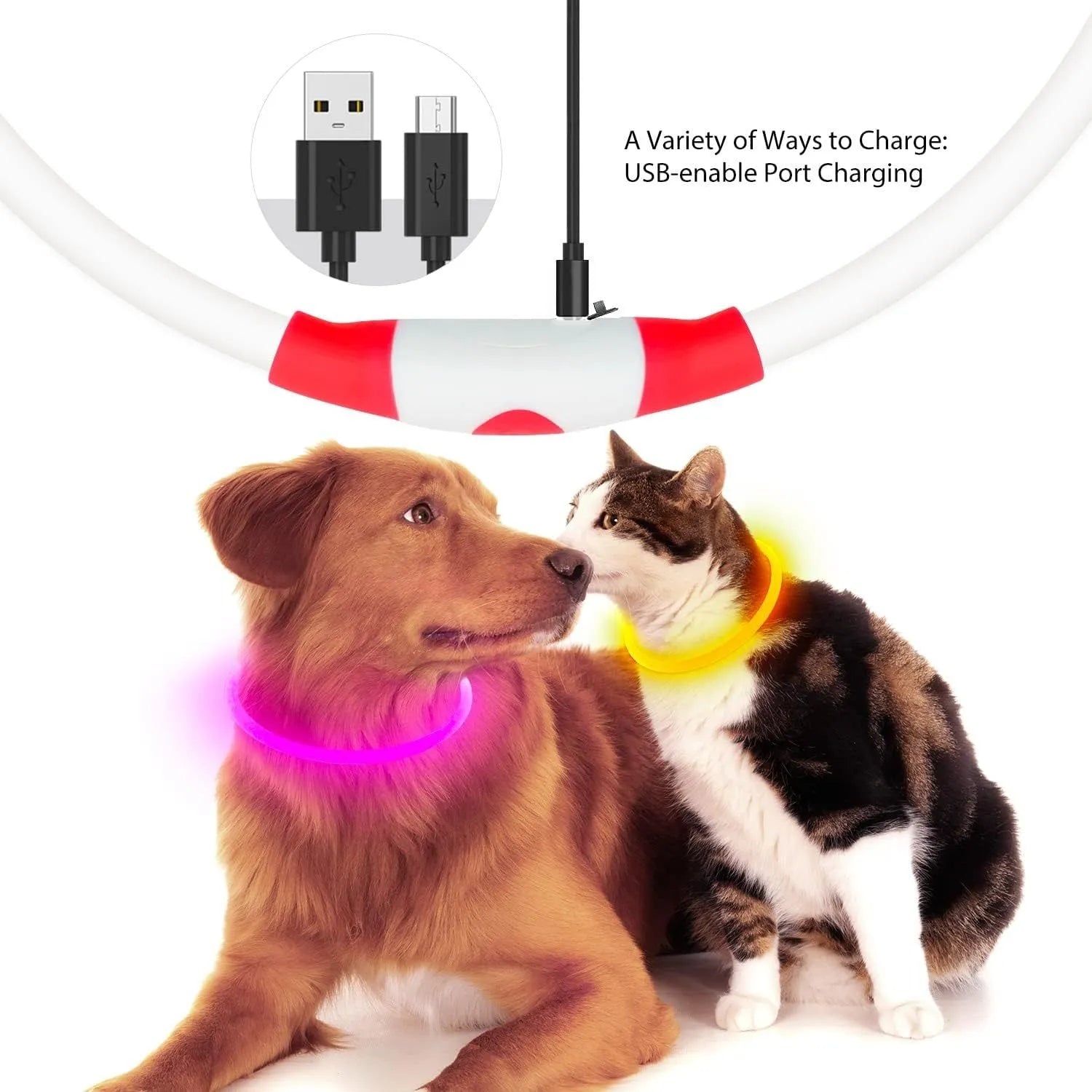 USB rechargeable LED dog collar with glowing light in blue colour, adjustable 70cm length