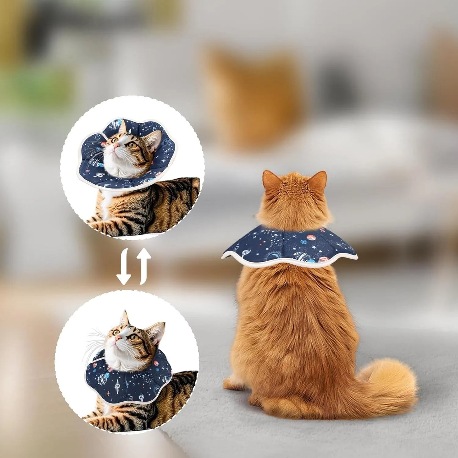 Soft fabric cat recovery cone collar with adjustable fastener in constellation or planet design