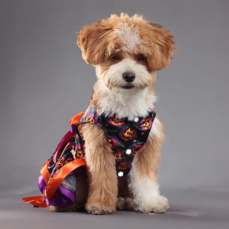 Halloween dog costume skirt in colourful pumpkin or skull patterns with double-layer construction