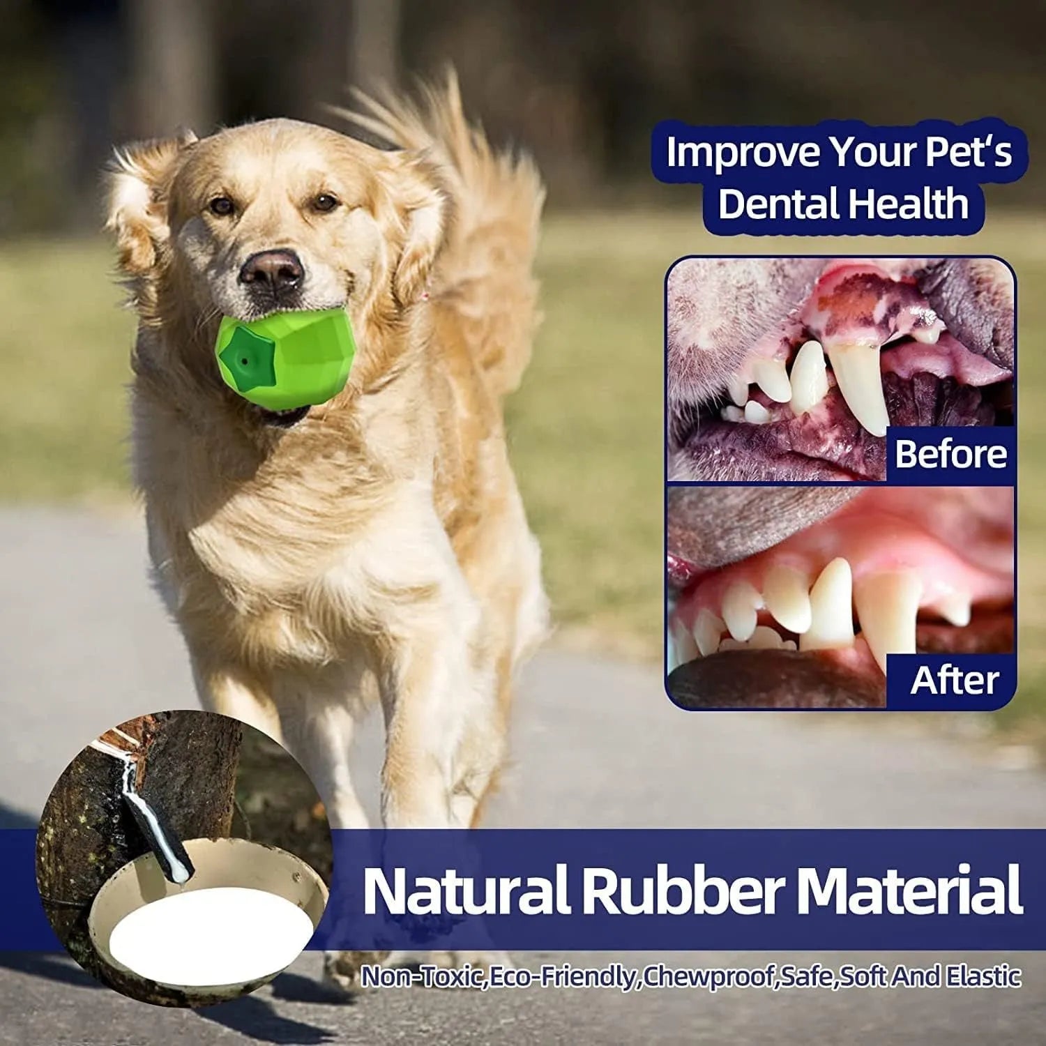 Green natural rubber dog squeaky ball toy for medium large breed aggressive chewers