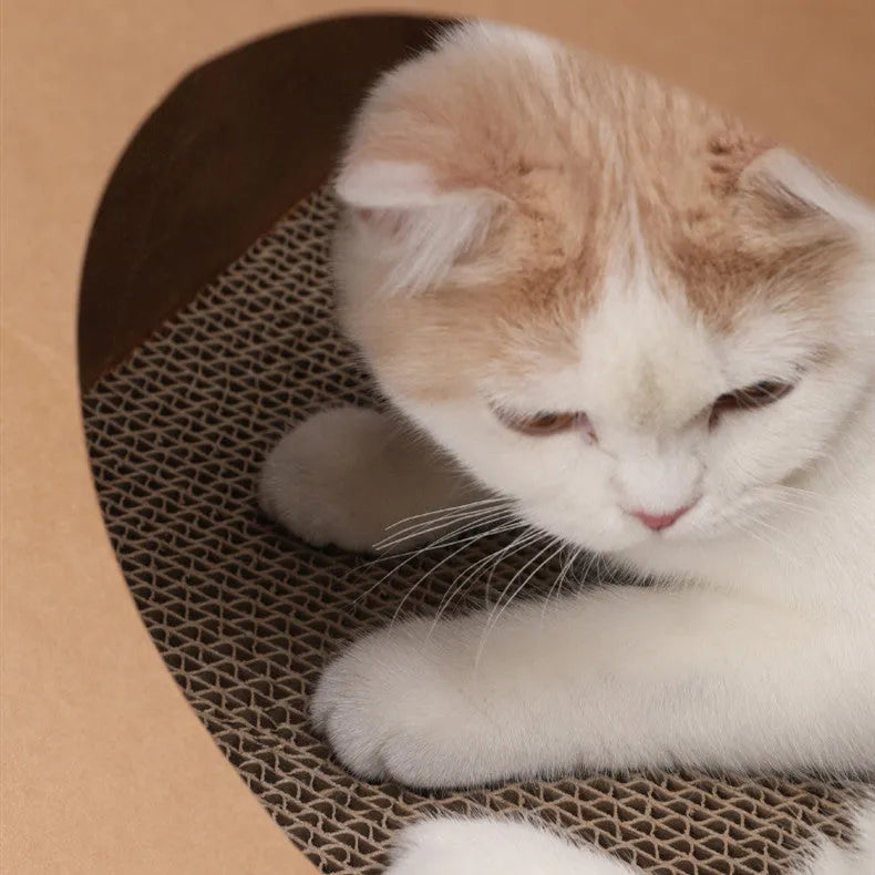 Brown kraft paper and cardboard integrated cat bed with built-in scratch board.