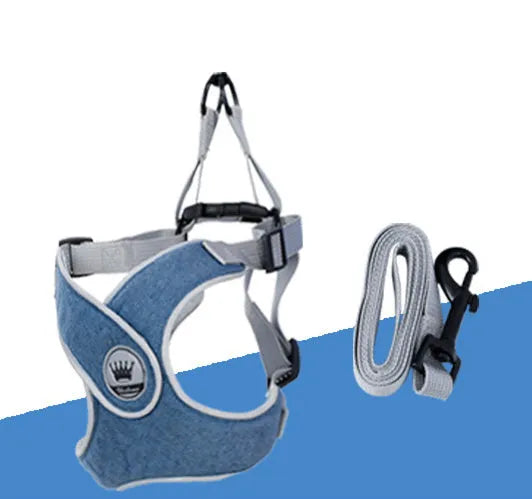 Adjustable mesh dog harness with metal D-ring in multiple colour options
