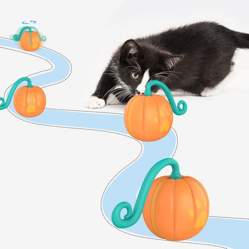 Electric cat toy ball with LED lights in watermelon or pumpkin design