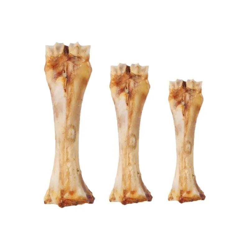 Puppy molar rod in three sizes: large, medium, small with roasted ox bone flavour