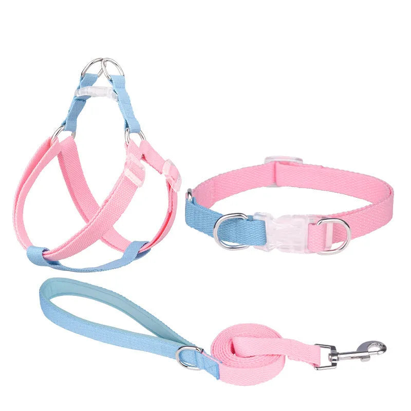 Polyester dog collar and leash set in green and pink colour combination showing collar, leash and chest strap