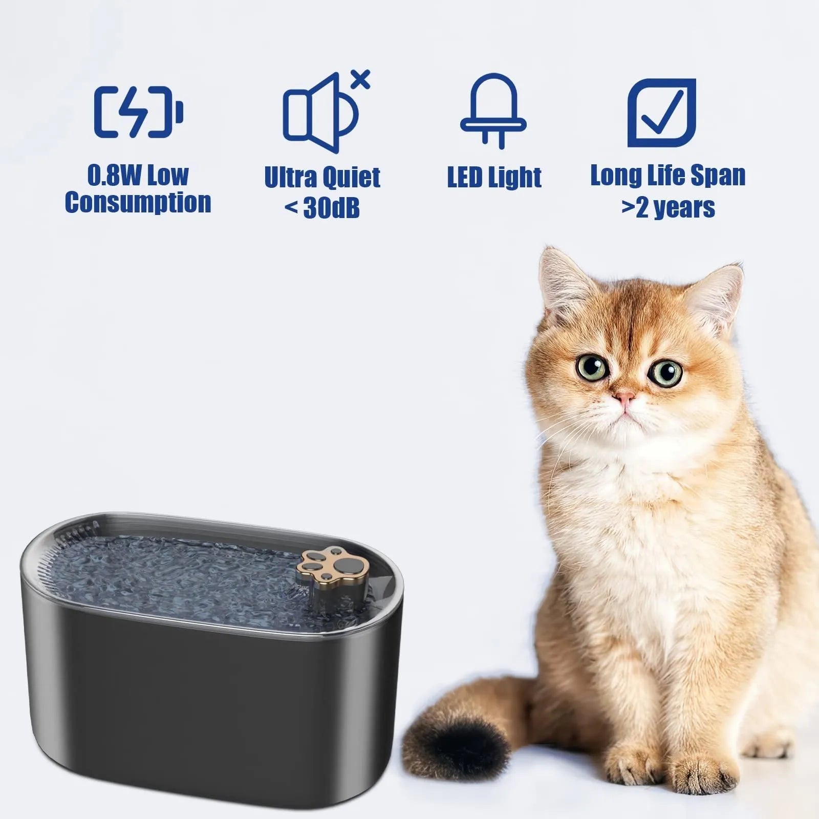 Blue automatic pet water fountain with filter on a floor next to a cat