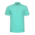 Short sleeve polo shirt in solid colour with loose plus size fit on hanger