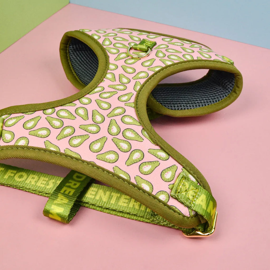 Colourful polyester dog harness for medium and large breeds on a white background