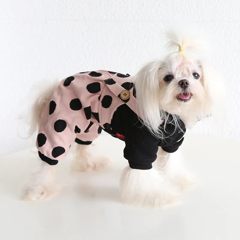 Matching couple dog clothes with lapel detailing and shoulder straps in various sizes