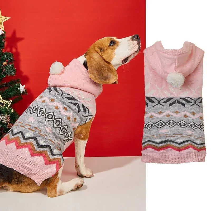 Blue knitted dog sweater with a diamond pattern on a small dog model.