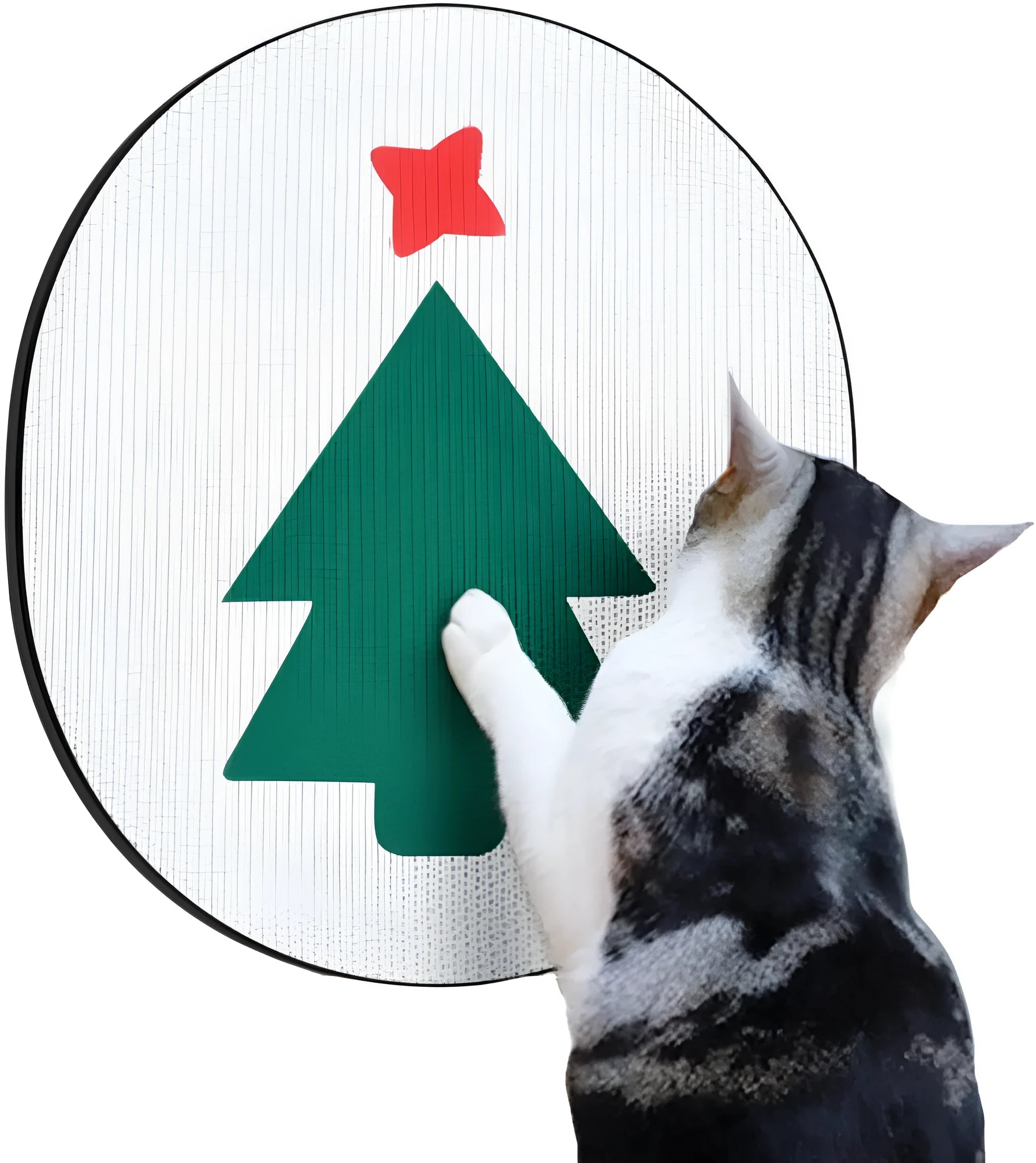 Wall mounted cat scratcher with corrugated cardboard surface and catnip