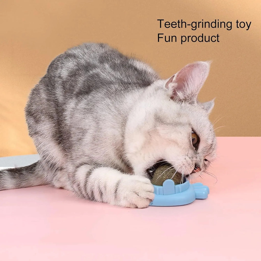 Blue carrot-shaped self-adhesive catnip ball toy for wall mounting and feline dental care.