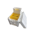 Three white EPS foam bee breeding delivery boxes for hive management
