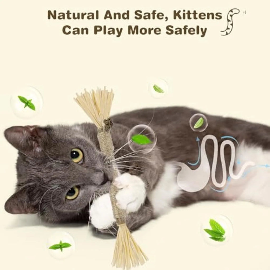 3-pack of natural silvervine chew sticks for cats on a wooden surface