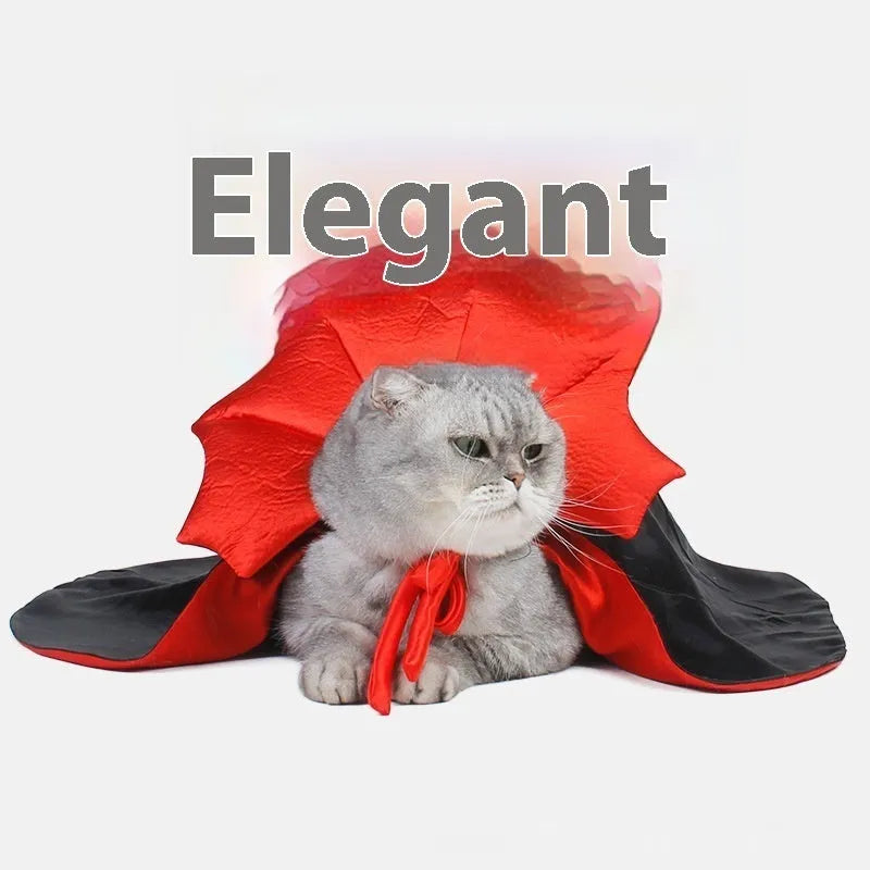 Black and red Halloween costume outfit for cats and dogs on pet mannequin