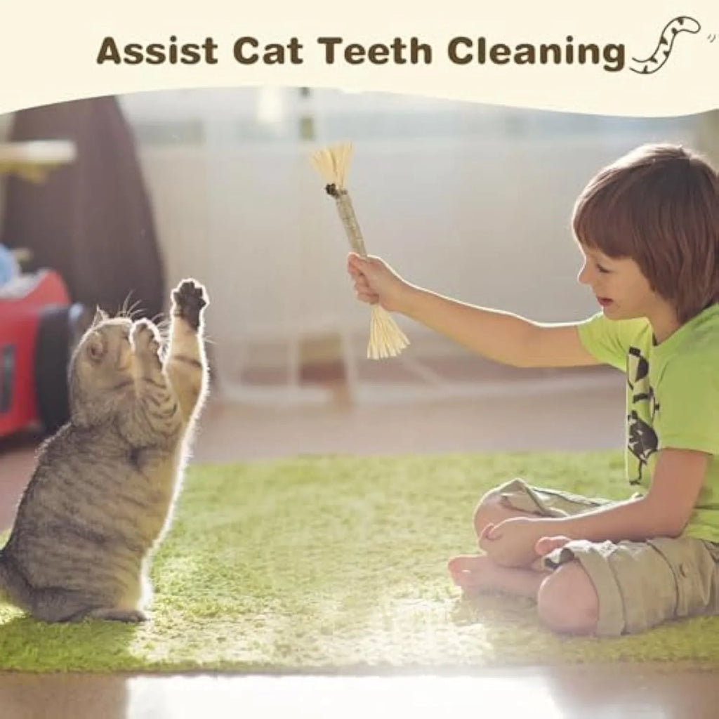3-pack of natural silvervine chew sticks for cats on a wooden surface