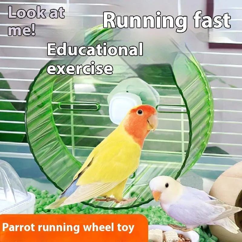 Parrot running wheel toy in plastic construction showing available colours and sizes