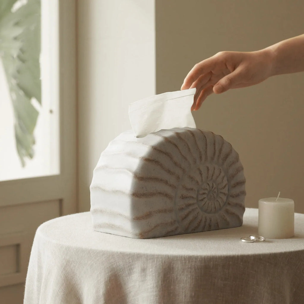 Conch Ramble coloured resin decorative tissue box cover with modern simplicity design